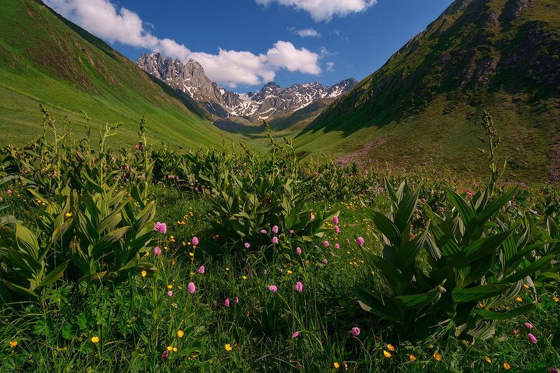 _ фото превью