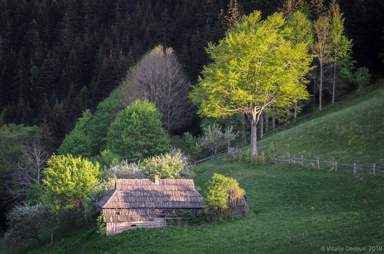 весна, горы, зелень, закат, свет, вечер, дом, Виталий