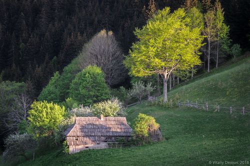 Дом на холме. Карпаты. Покуття.