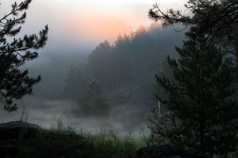 паутинка фото превью