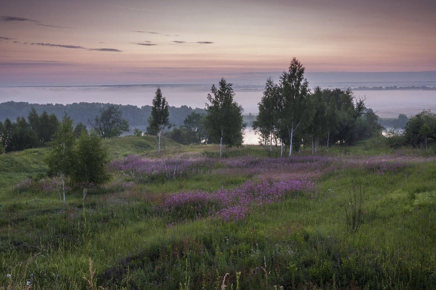 лето,природа,пейзаж,утро,восход,река,туман, Павел Ныриков