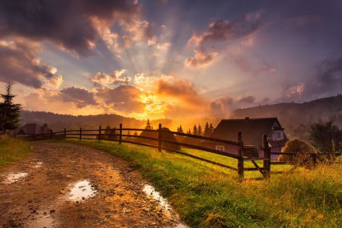 Карпаты. Летний вечер