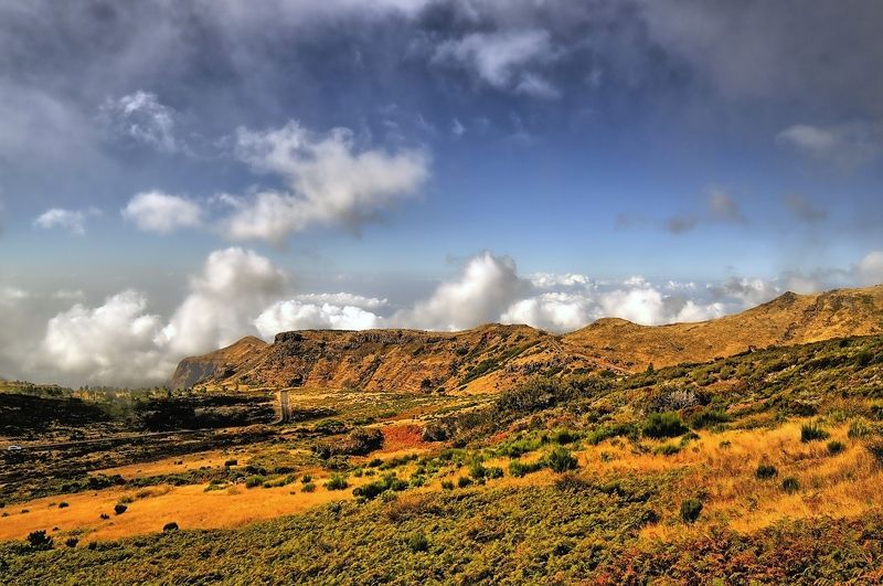 Madeira фото превью