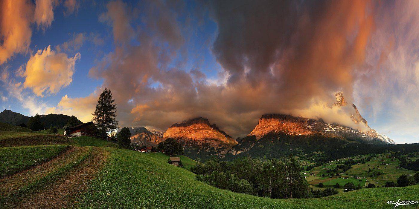 swiss, Матвеев Николай