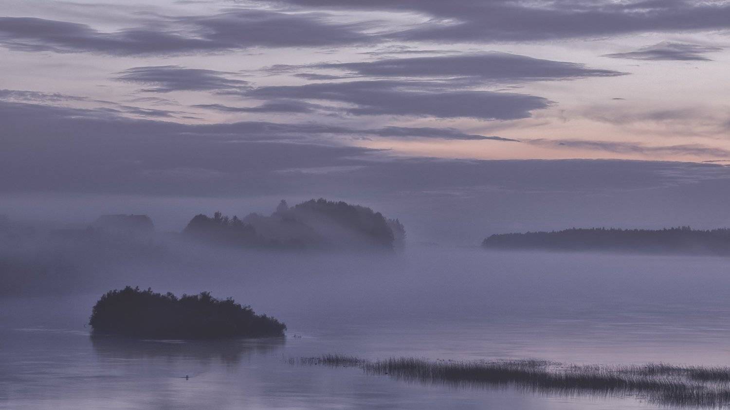онега, архангельская, Дмитрий Антропов