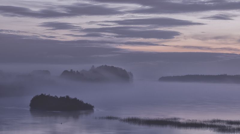 онега, архангельская Туман на р.Онега фото превью