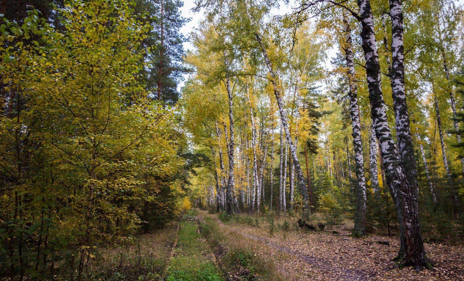 , Руслан Востриков