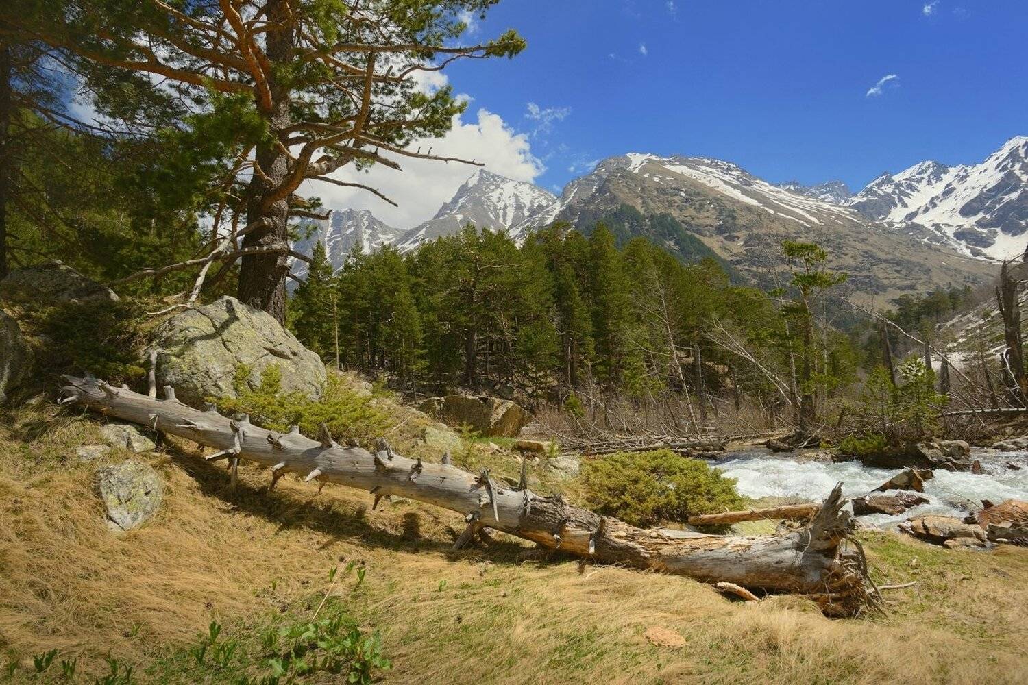 горы весна кавказ ручей узункол, Александр Жарников