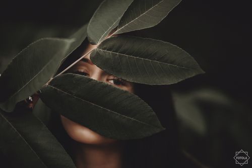 Leaves and eyes