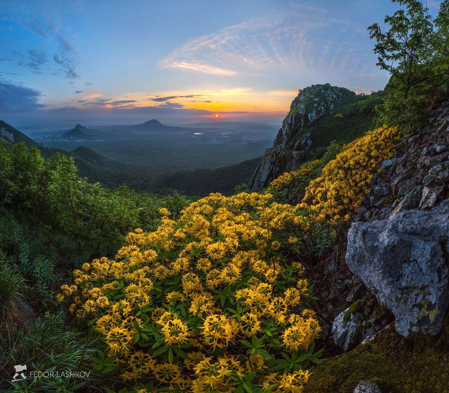 pentax645z, pentaxrussia, pentax, ставропольский край,  путешествие, фотоальбом, цветы, природа, рассвет, горы, бештау, кавминводы, рододендрон, азалия, вершина, скалы, кустарник, весна, средний формат, железноводск, облака, солнце., Лашков Фёдор