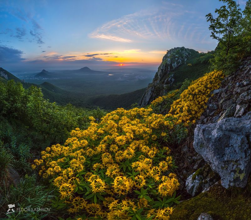 Страна из фэнтези фото превью