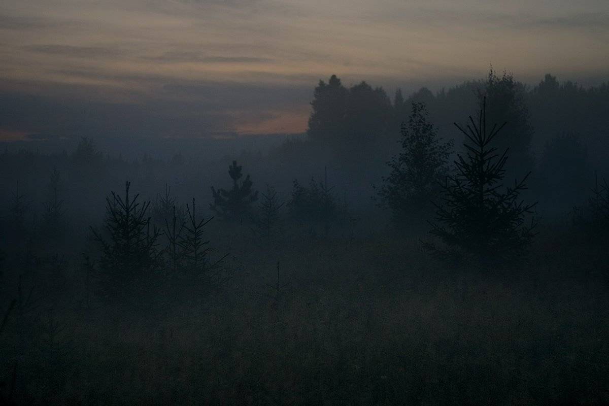 , Алексей