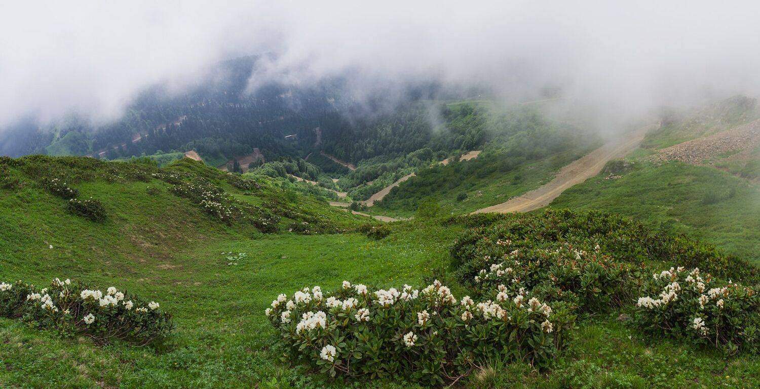 , Игорь Мелекесцев