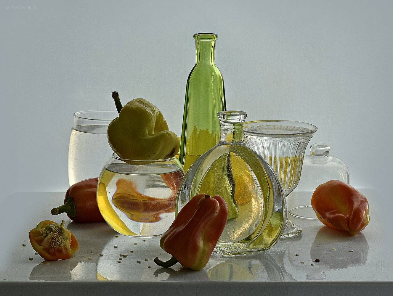 , Шипунова Ирина