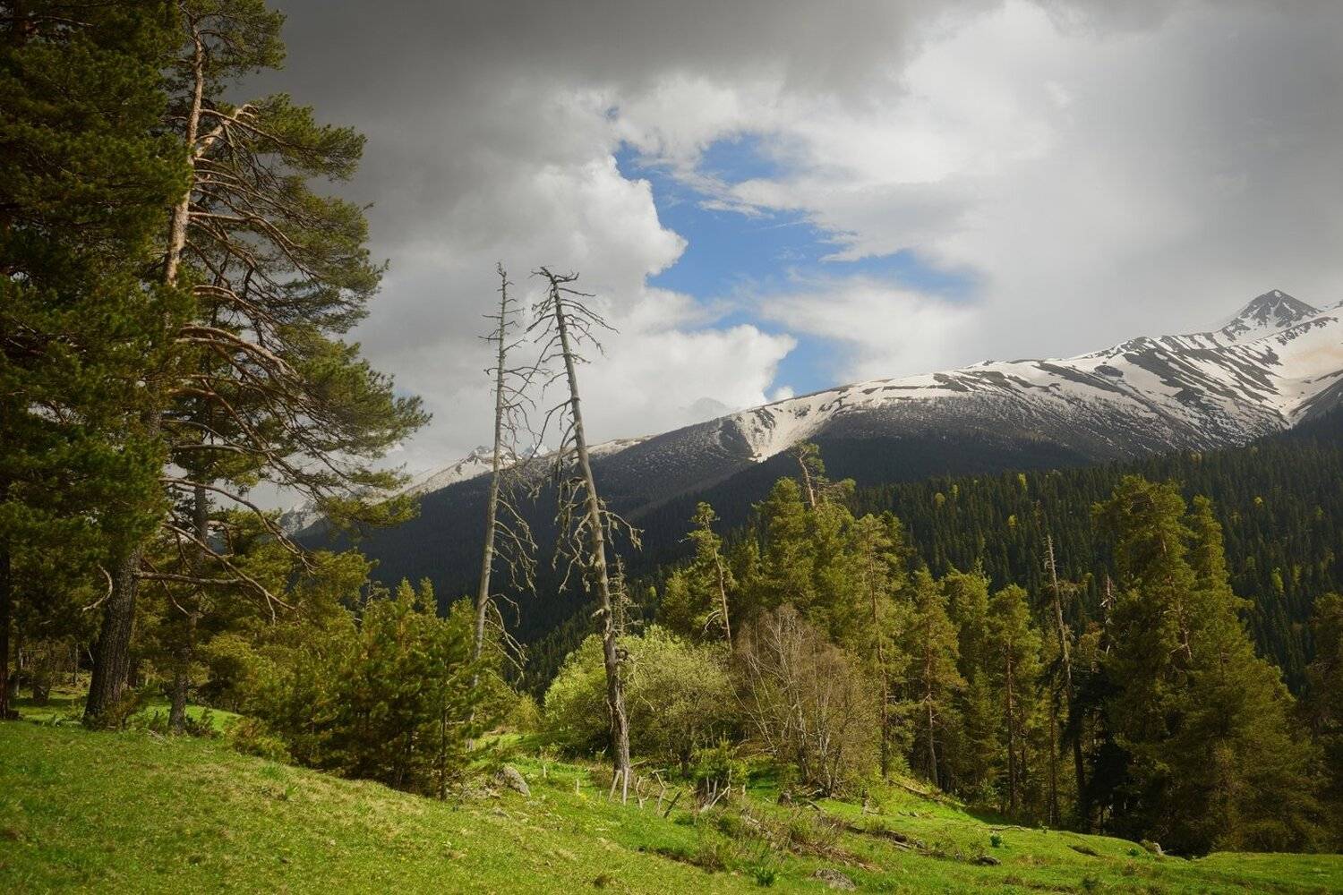 горы весна кавказ архыз, Александр Жарников