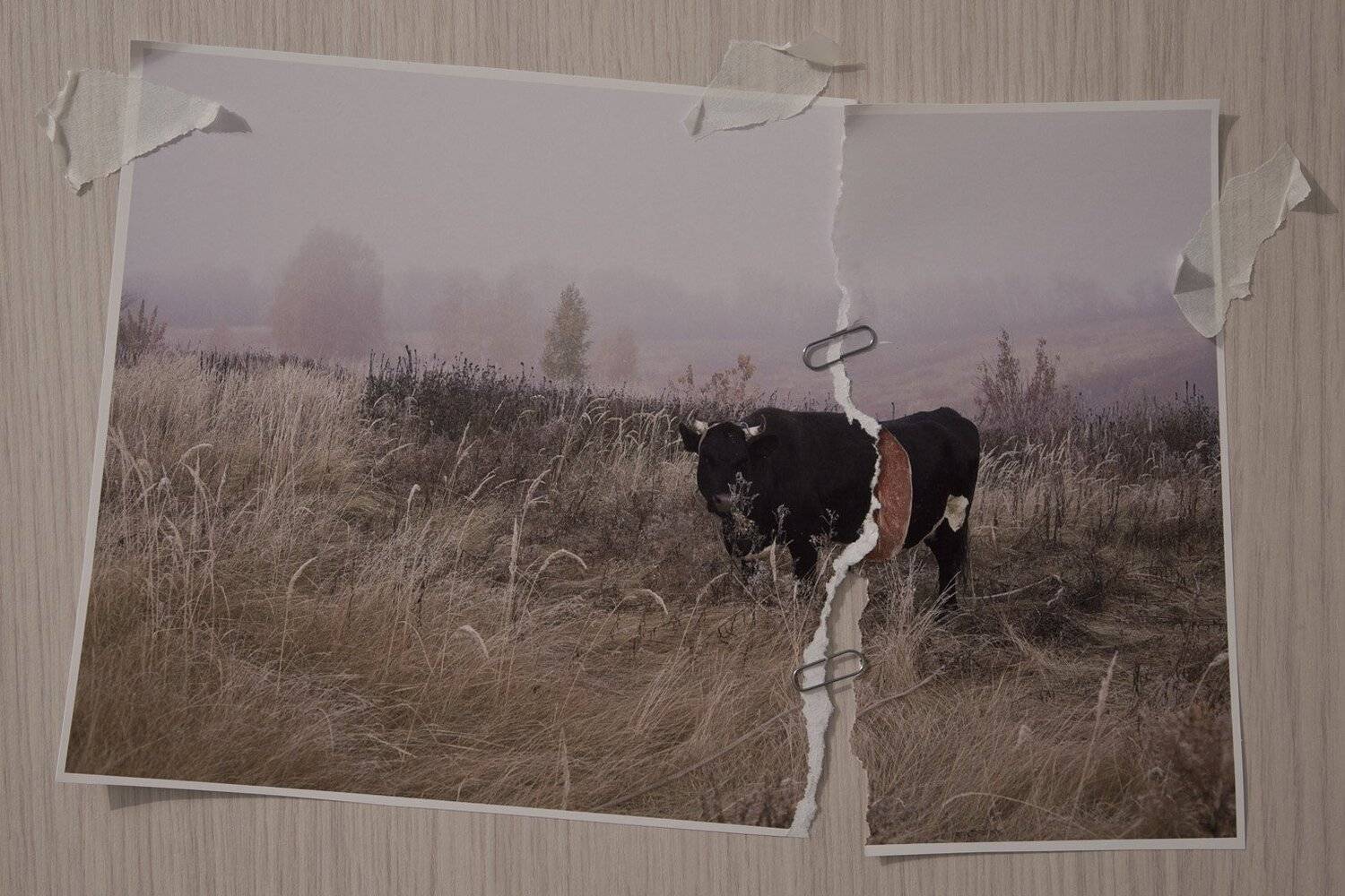 , Виктор Кириллов