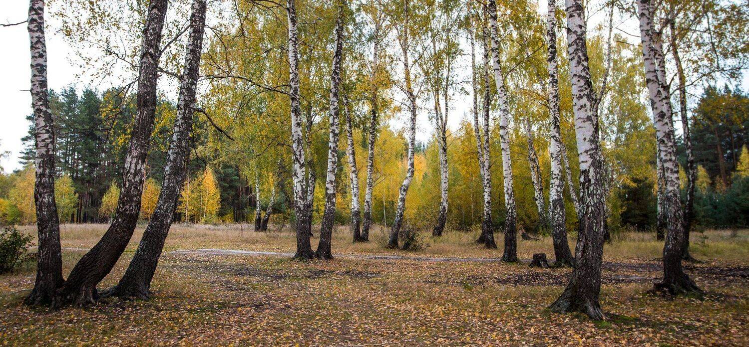 , Руслан Востриков