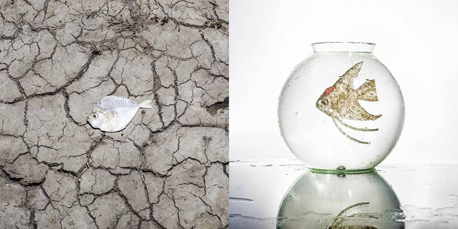 Gobindapaul,Gobinda_paul,, Gobinda Paul