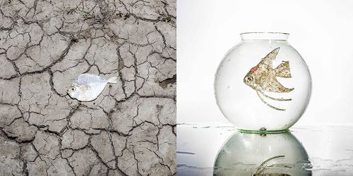 Revenge of nature