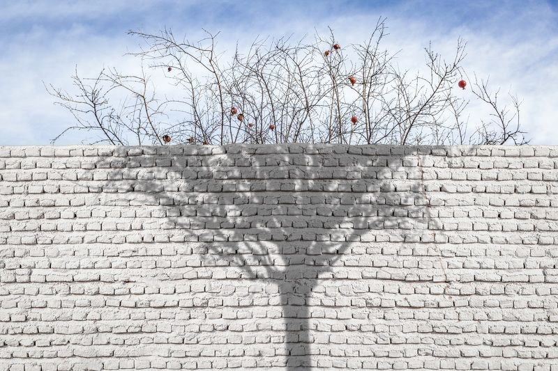 White Wall фото превью