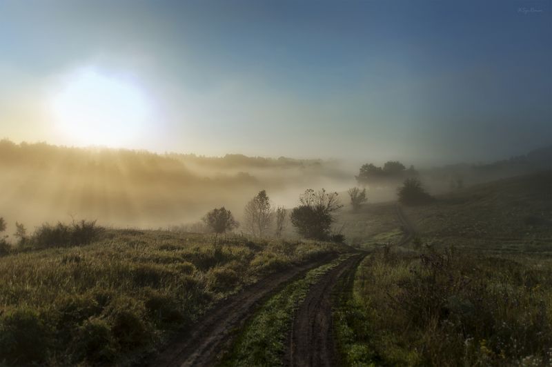 дорога,пейзаж,лето,утро,рассвет,туман Сходящая в туман ... фото превью
