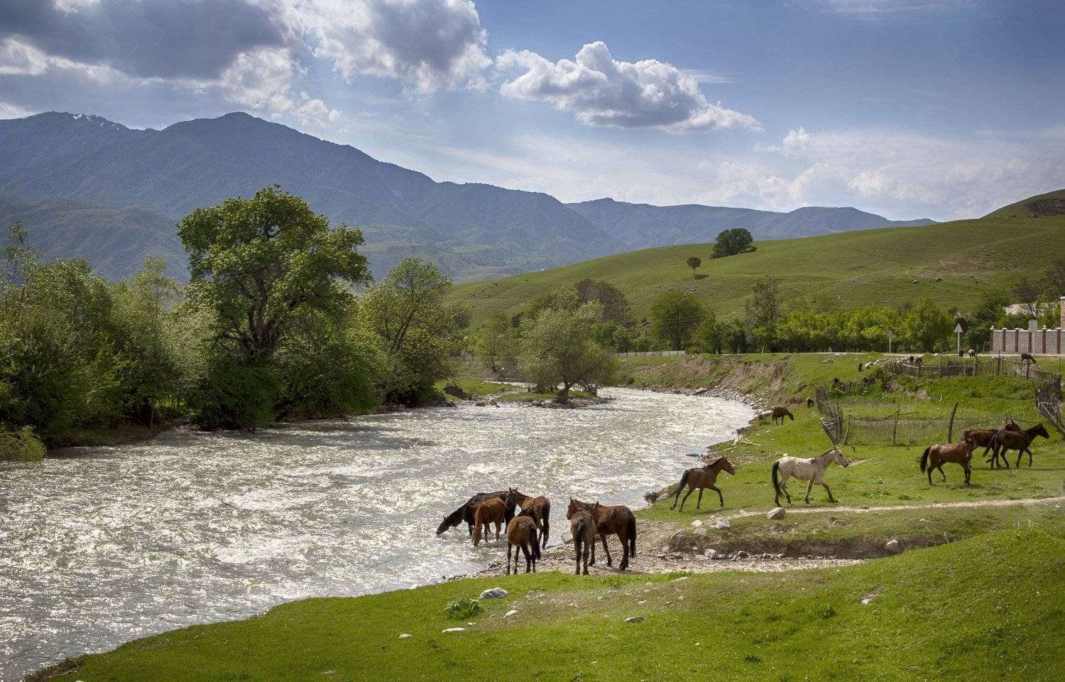 , Скиндерева Ольга