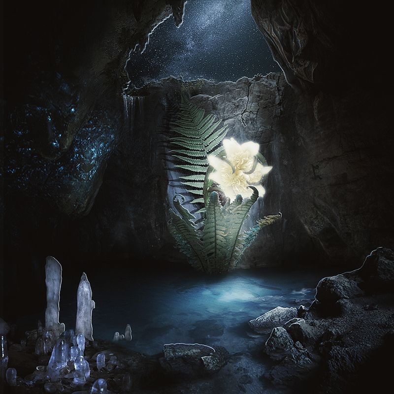 Сокрытое сокровище фото превью