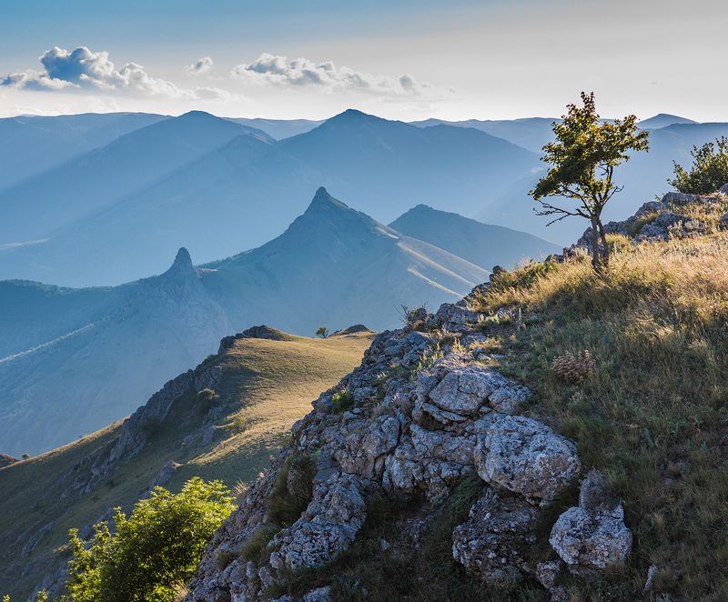 Зеленогорье фото превью