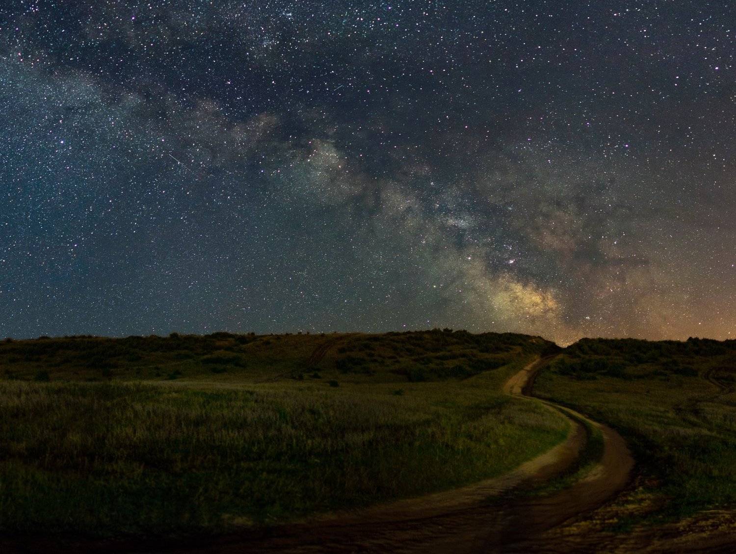 ceclii, nikon d3400, Tsvetan Ganev