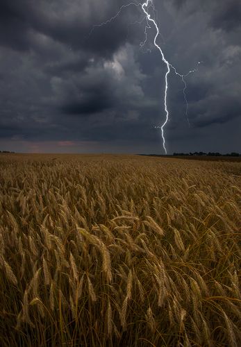 Разрывая тишину
