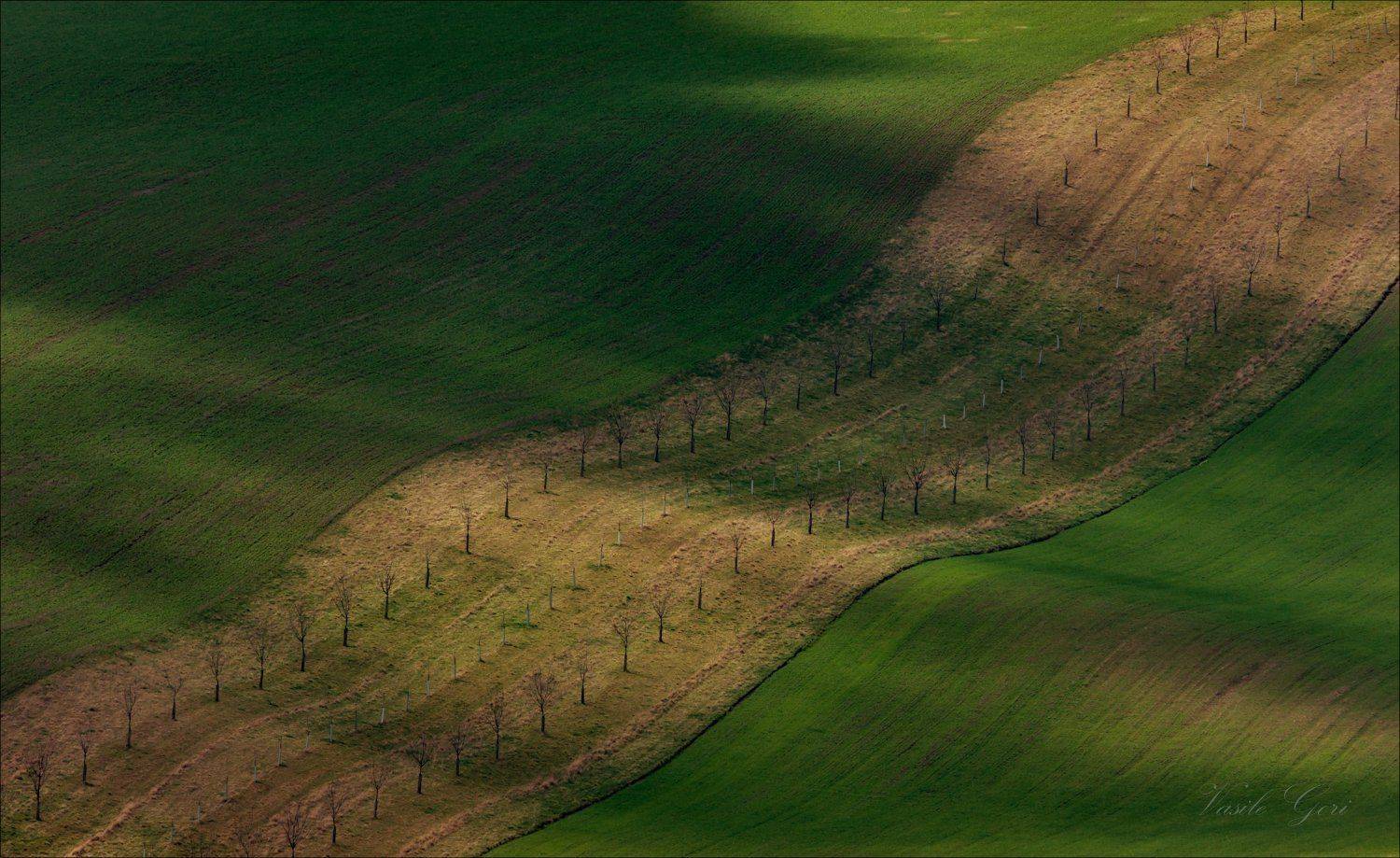 южная моравия,пейзаж,hils,биолента,линии,south moravian,lines,свет,czech,веснa,чехия,landscapes., Василий Гори