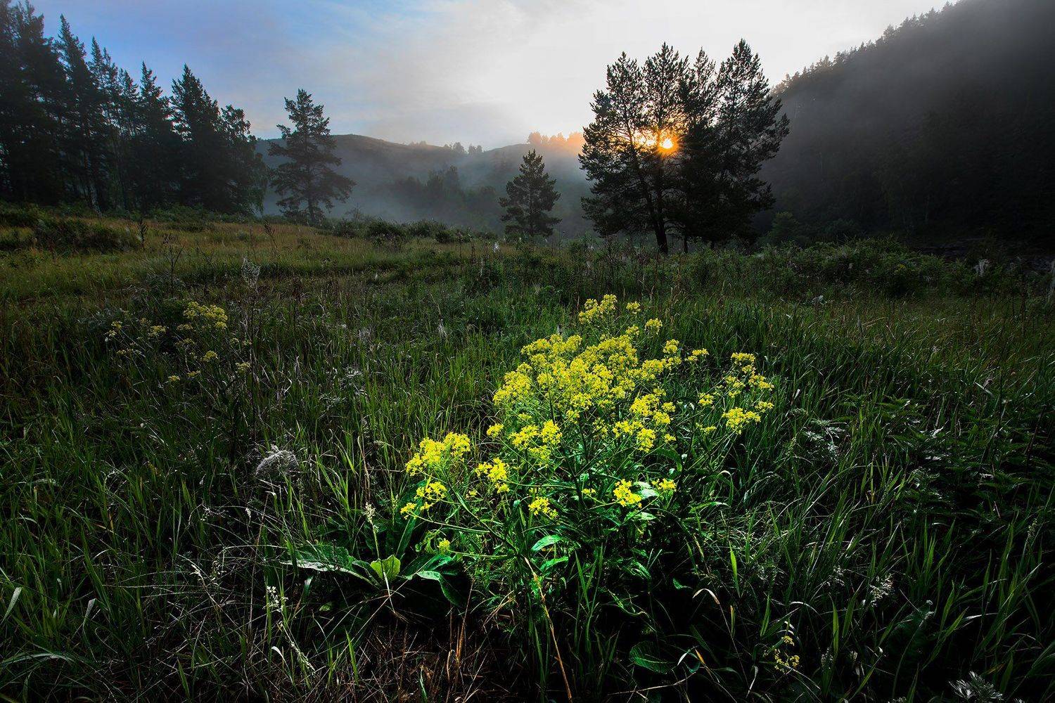 , Орлов Михаил