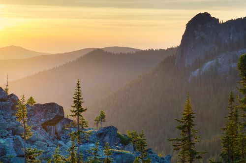в заполняющем свете