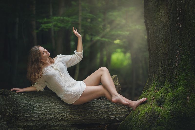forest, girl, wood, tree, magic, fairy, fairytail, joung, light,  Forest фото превью