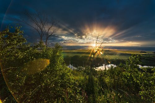 Лучистое солнце