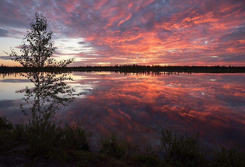 закат, небо, озеро, вода, облака, природа, сибирь Закат фото превью