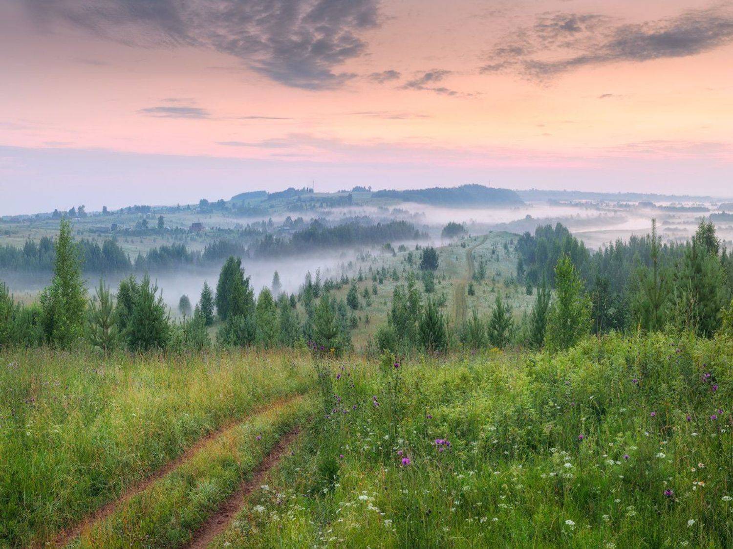 июль, туман, холмы, Дмитрий Медянцев
