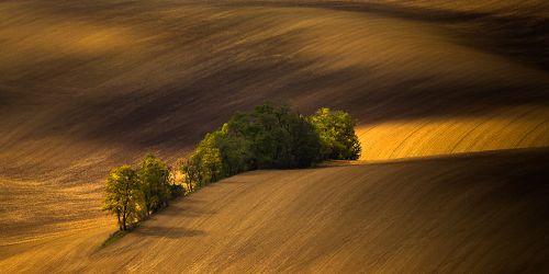 Moravian rolling hills