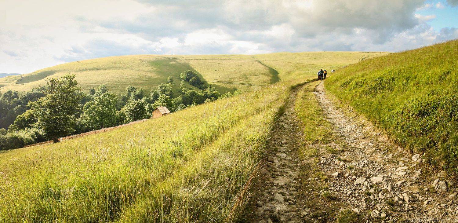 Carpathians, Ukraine, лето, свидовец, тропа, дорога, туристы, Алексей Медведев