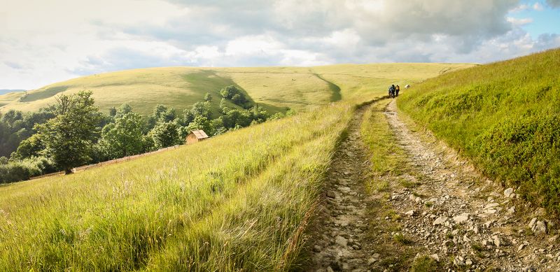 Carpathians, Ukraine, лето, свидовец, тропа, дорога, туристы Дорогой с солнцем фото превью
