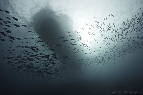 Вид с другой стороны...