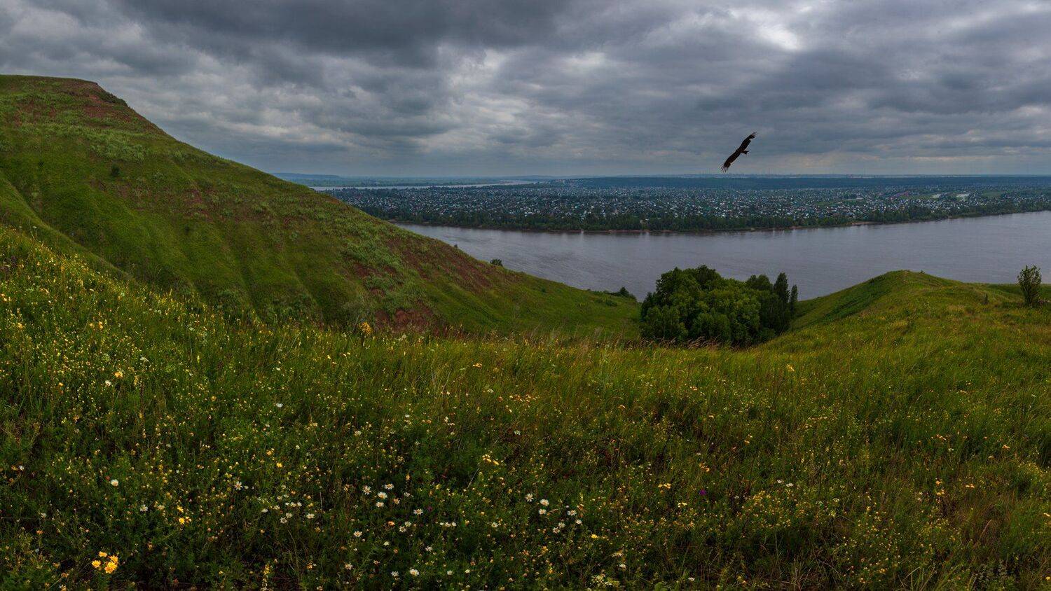 кама, Марат Кучкаев