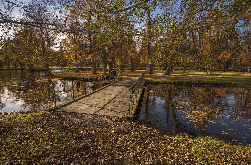 швеция Осенний парк фото превью