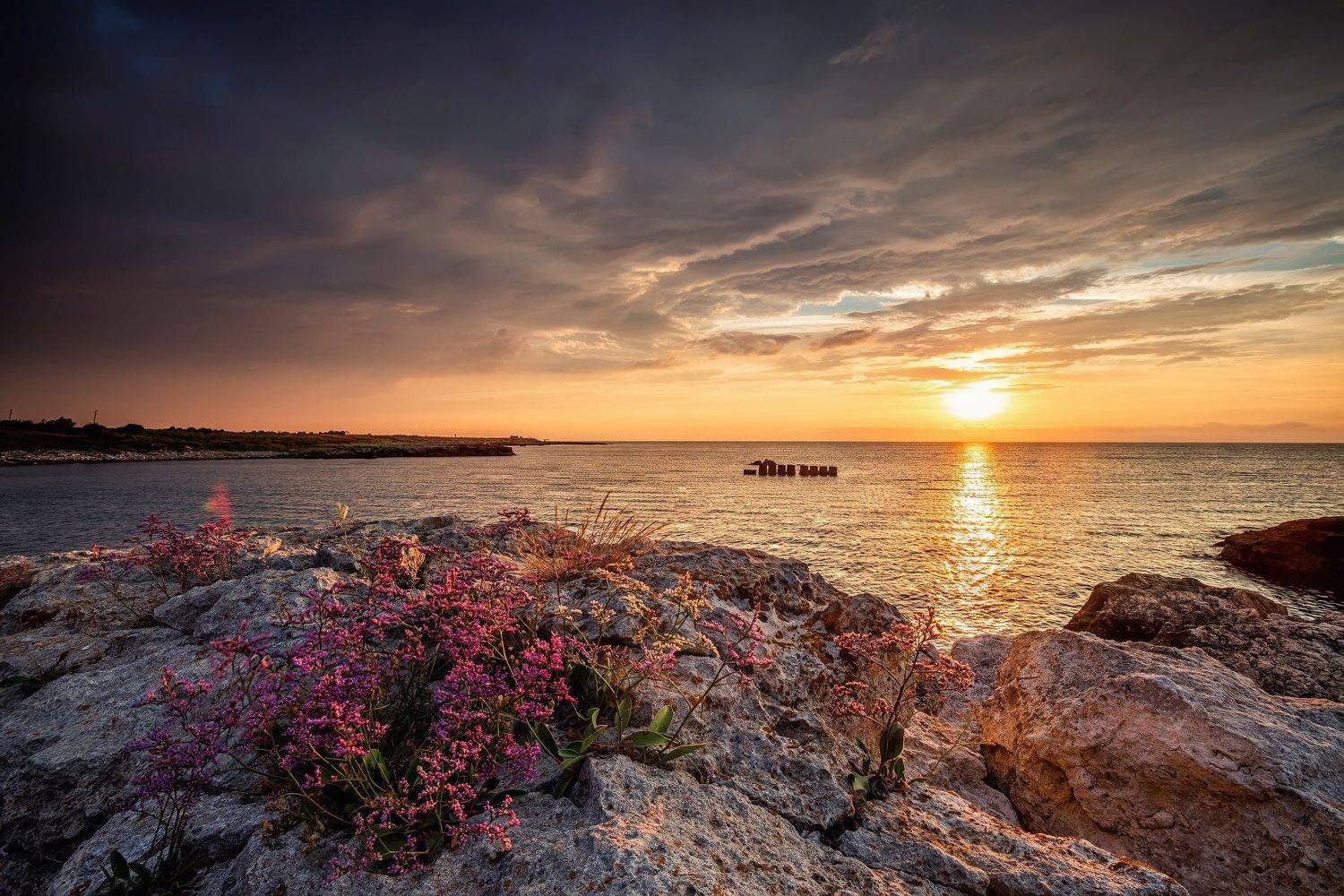 , Костадин Маджаров