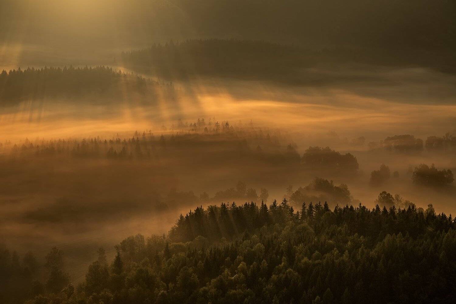 landscape,canon,mist,light,autumn, Iza i Darek Mitręga