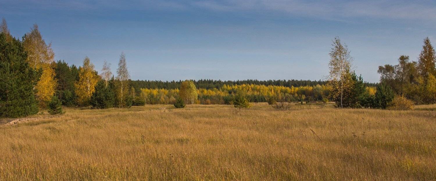 , Руслан Востриков