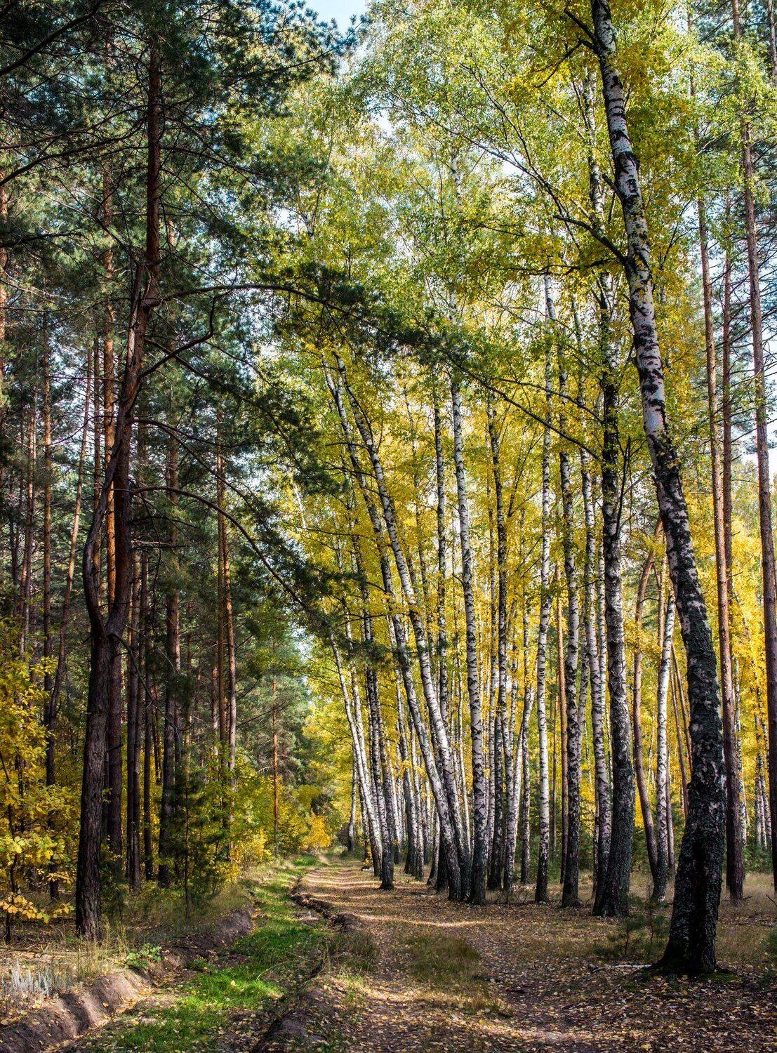 , Руслан Востриков