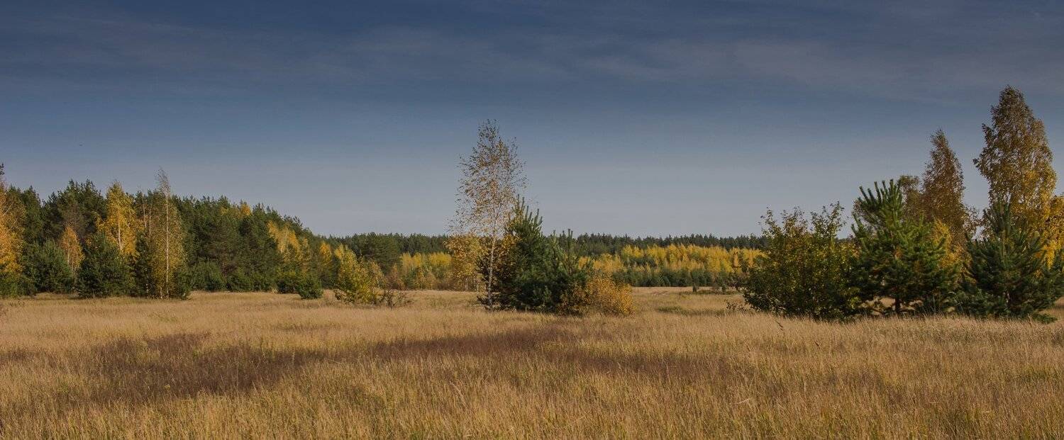 , Руслан Востриков