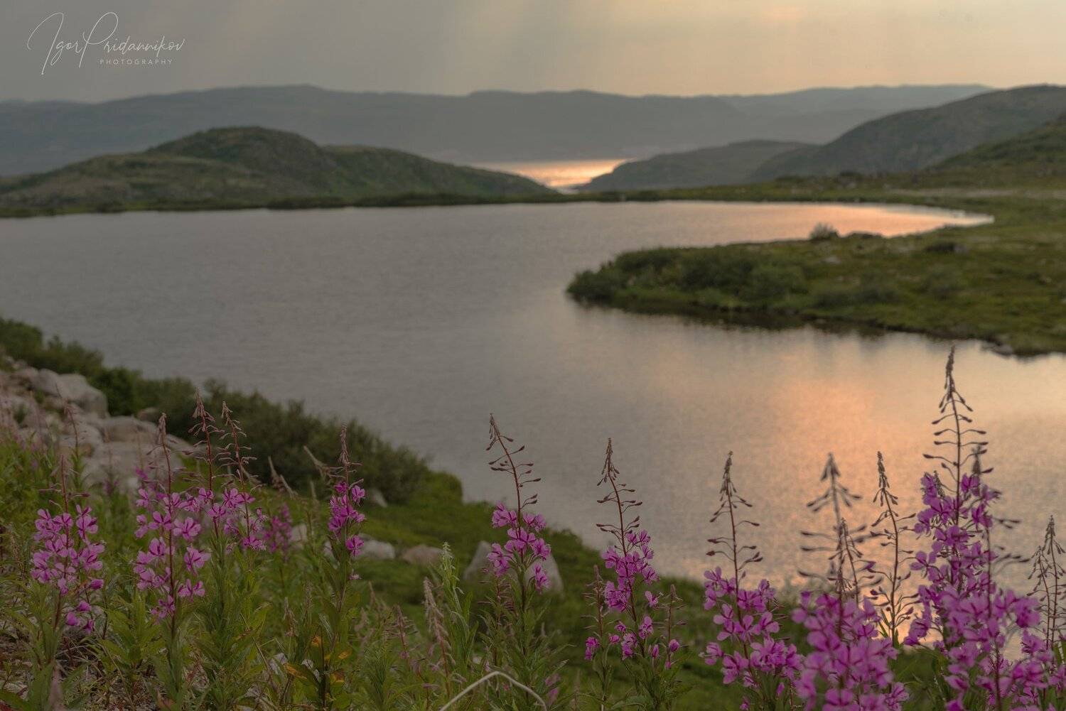 , Игорь Приданников