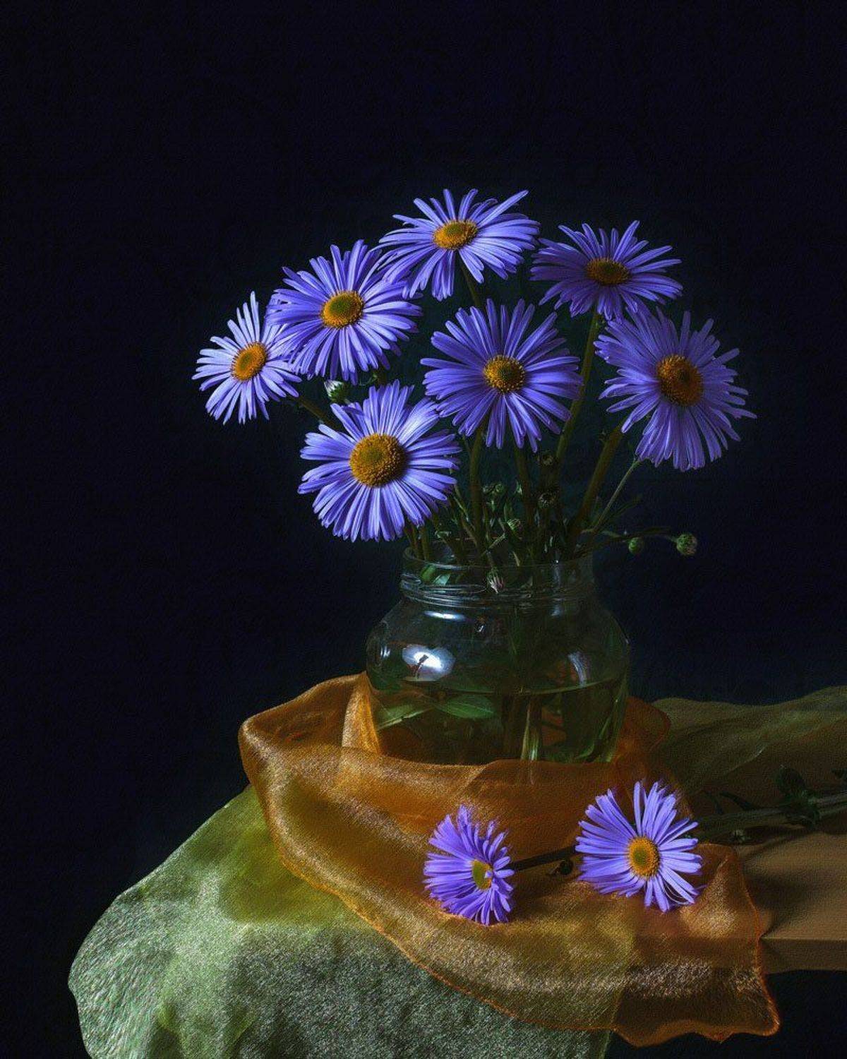 , Анжелика Королева